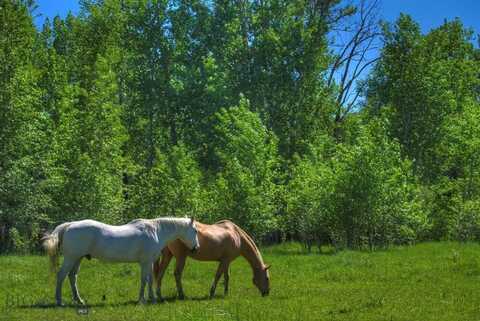 13830 (tract B) Cottonwood Road, Bozeman, MT 59718