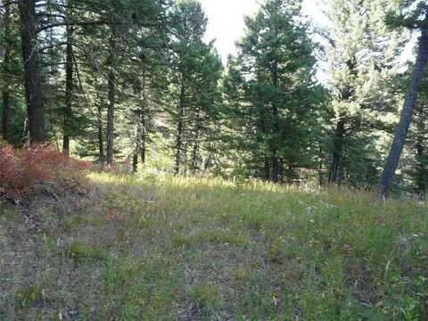 11 Tipsue Road, Livingston, MT 59047