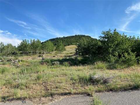 Tbd E Webster Street, Butte, MT 59701