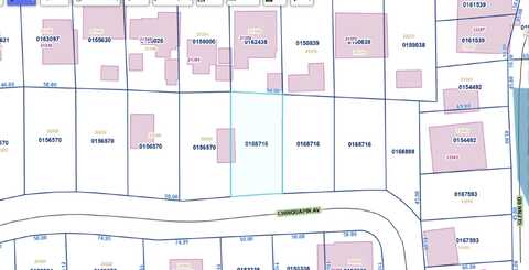 Lot 30 Chinquapin Ave, Maurepas, LA 70449