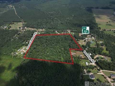 Tbd Pea Ridge Rd, Albany, LA 70711