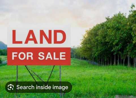 Lot 41a Carnifix Ct, Saint George, LA 70817
