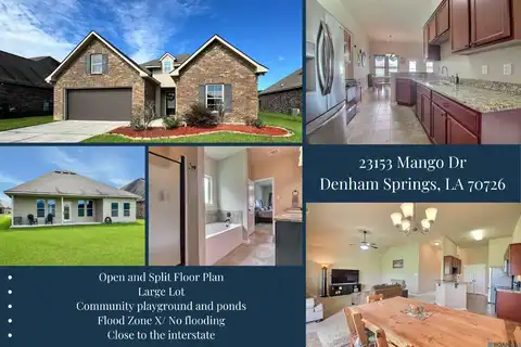 23153 MANGO DR, Denham Springs, LA 70726