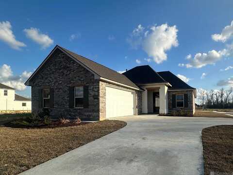 36139 Belle Parc Ave, Geismar, LA 70734