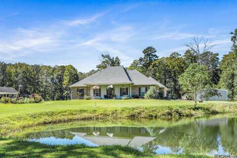 29301 MAGNOLIA DR, Walker, LA 70785