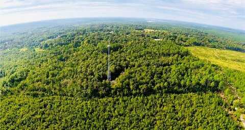 0 Glenwood Road, Wilmer, AL 36587
