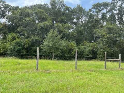 0 Hunters Trail, Citronelle, AL 36522