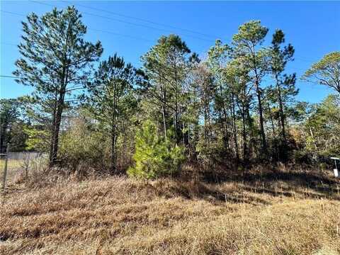 0 Dauphin Island Parkway, Coden, AL 36523