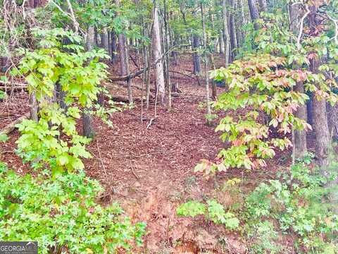 12 Cherokee, Ellijay, GA 30540