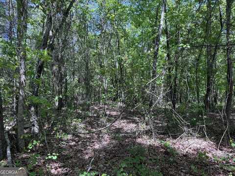 0 Hwy 17 24.19 Acres, Eastanollee, GA 30538