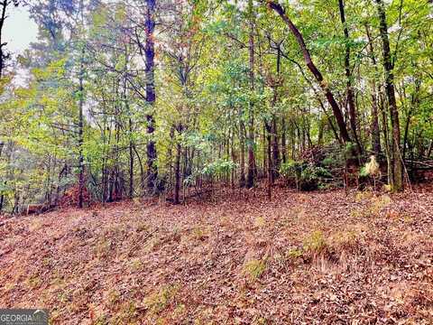 573 Cataula, Ellijay, GA 30540