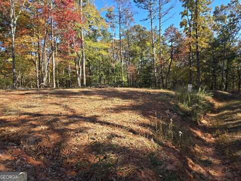 5.96 Acres Canyon Point, Demorest, GA 30535