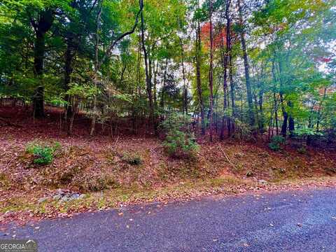 548 N Satsuma, Ellijay, GA 30540