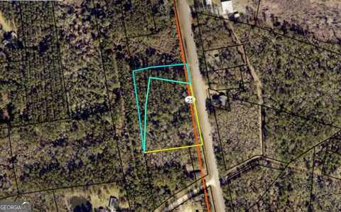 V/L Cornelia Armstrong Tract 1 & 2, Woodbine, GA 31569