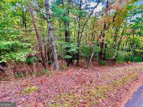 577 Tonto, Ellijay, GA 30540