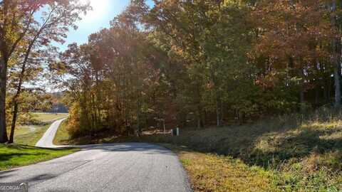 Lot 161 Old Owen, Blairsville, GA 30512