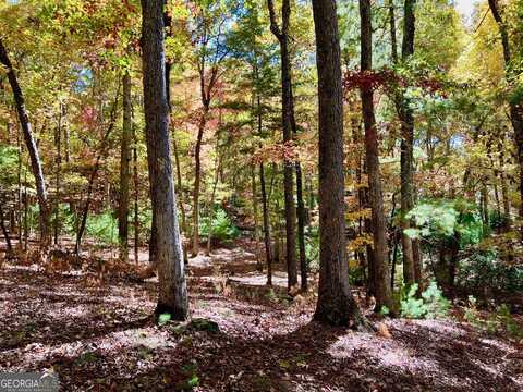 51 Old Birch, Blairsville, GA 30512