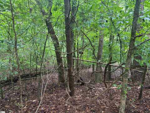 0 Lake Forest Drive, Abbeville, SC 29620