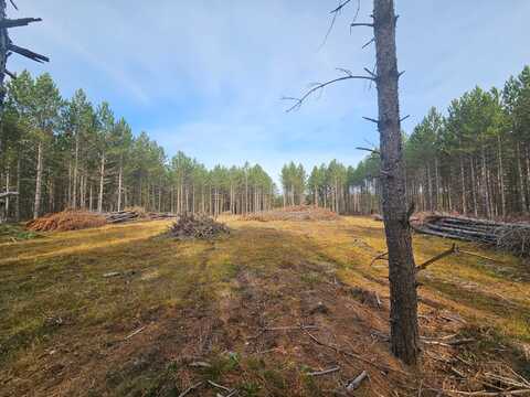 On BURROWS LAKE RD, Tomahawk, WI 54487