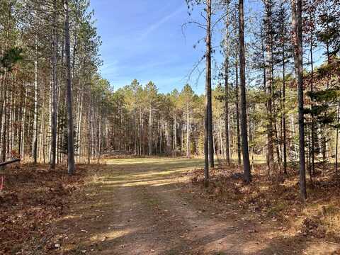 N10623 WHITETAILED DEER DR, Tomahawk, WI 54487