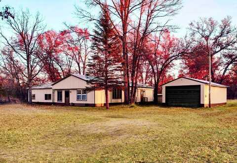 4341 W 4 Mile Road, Irons, MI 49644