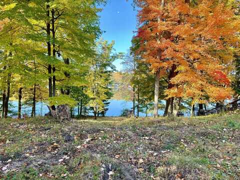 Lot 8 Otahnagon Drive, Stanwood, MI 49346