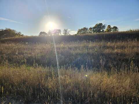 Calming Meadows Court Lot 3, Middleville, MI 49333