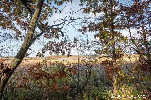 3126 Red Oak Drive, Saugatuck, MI 49453