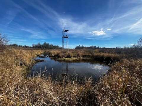 Vl Twin Creek Road, Luther, MI 49656