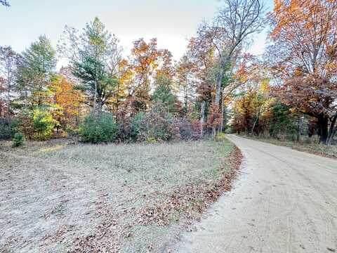 4.98ac E 58th Street, Newaygo, MI 49337