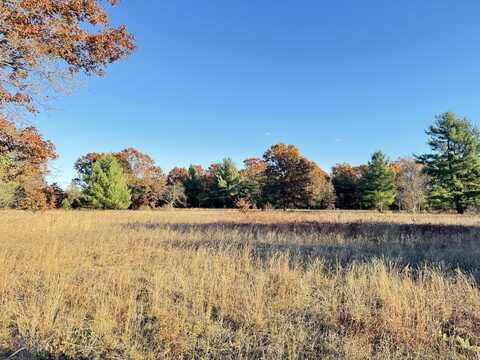 10.01ac Barberry Avenue, Newaygo, MI 49337