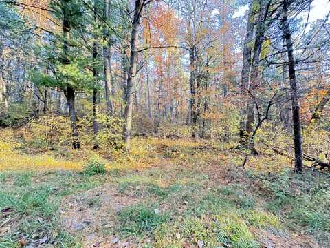 7.32ac E 58Th Street, Newaygo, MI 49337