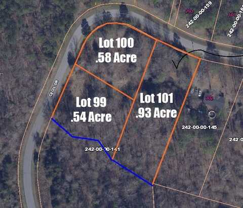 262 Cecil Dr- Lot 100, Waterloo, SC 29384