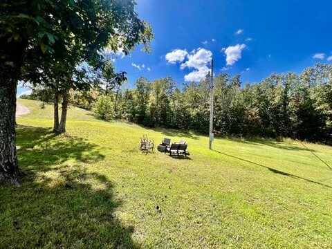 12800 Cadle Road, Licking, MO 65542