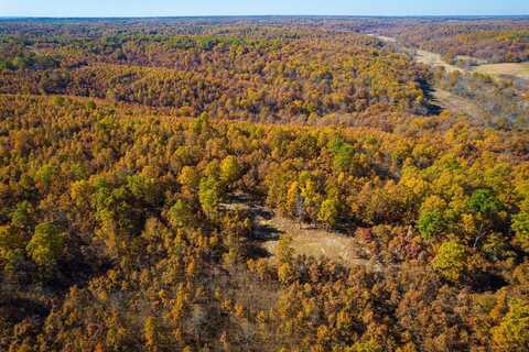 000 Pepperidge Trail, Tunas, MO 65764