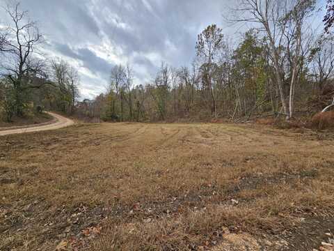 6.76 Ac Town Hollow Road, Anderson, MO 64831