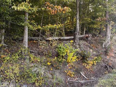 Lot 12r Sharp Road, Sevierville, TN 37876