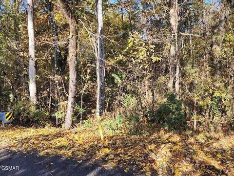 00 Briggs Rd Road, Dandridge, TN 37725