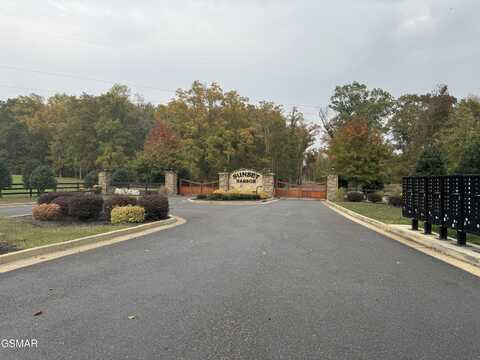 Lot 68 Sunset Harbor Drive Drive, Dandridge, TN 37725