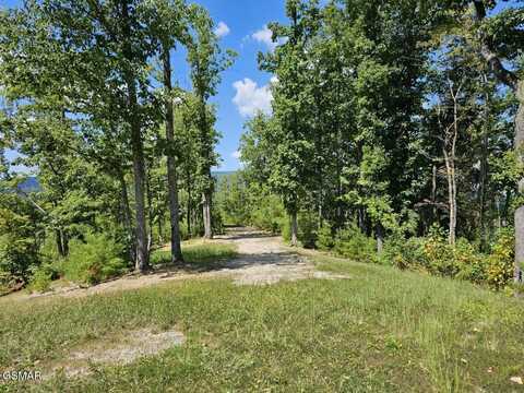 Lot 2-b Crown Circle, Sevierville, TN 37876