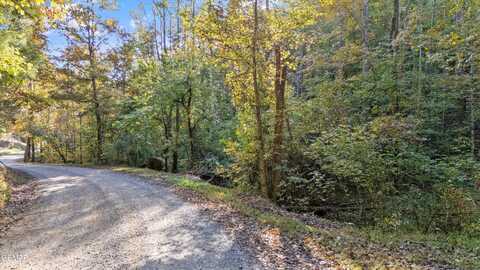 /31 Sulpher Springs Way, Sevierville, TN 37862