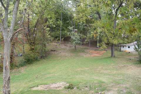 Lot 9 & 10 Mimosa Street, Mount Carmel, TN 37645