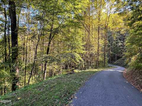 1020 Big Buck Trail, Townsend, TN 37882