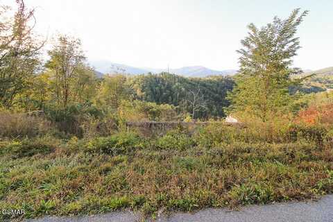 908 E End Court, Gatlinburg, TN 37738