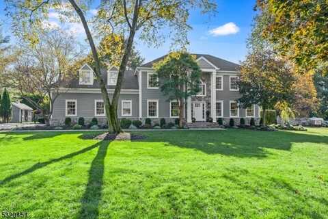 21 Pitney Court, Bernardsville, NJ 07920