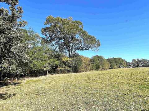 TBD Cr 3310, Dekalb, TX 75559