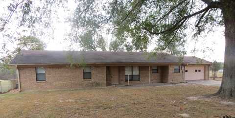 543 CR 2940 (Golden), Alba, TX 75410