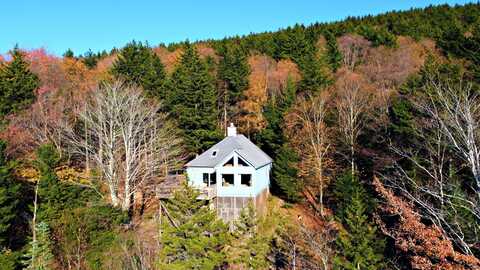 391 N Westridge Rd, Snowshoe, WV 26209