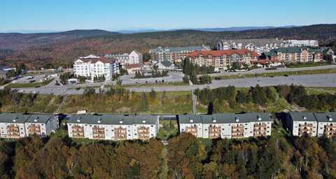 280 Summit Dr #106 D, Snowshoe, WV 26209