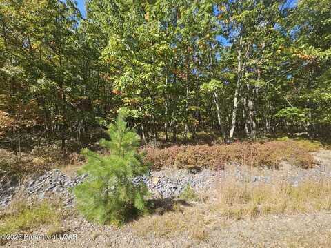 LV Lot 335 Wild Plum Way, Hazle Twp, PA 18202